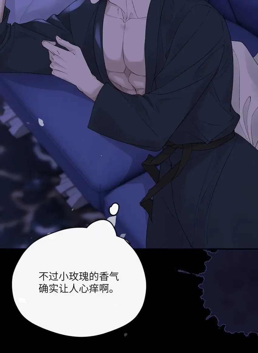 014 小玫瑰的香气3