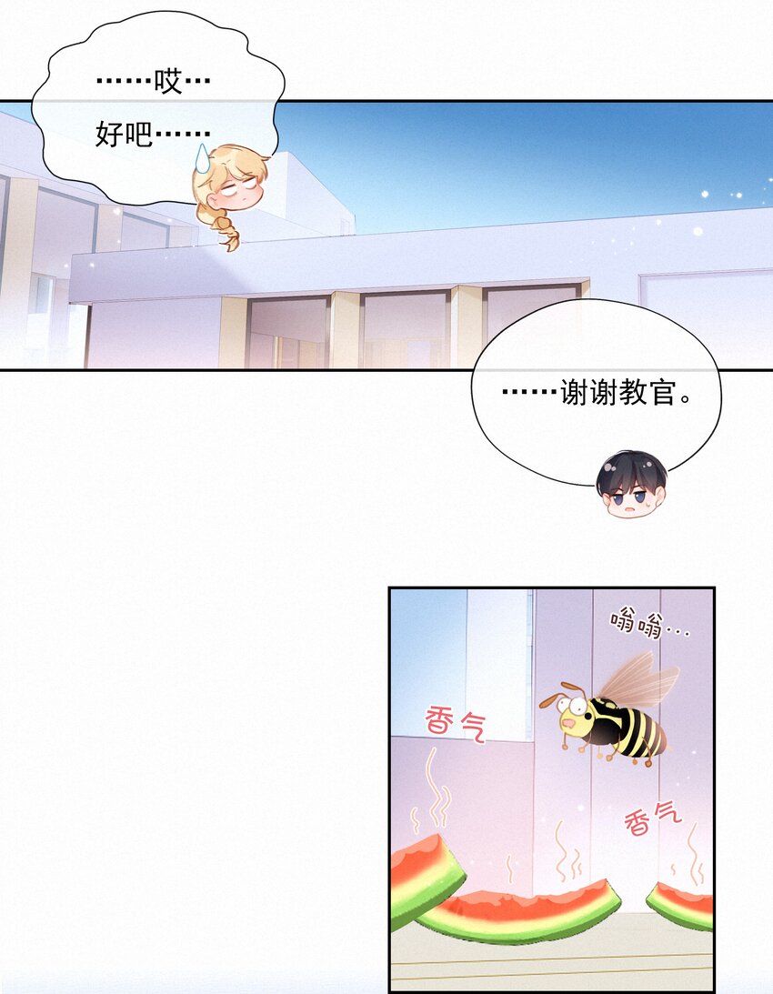 026 抢西瓜25