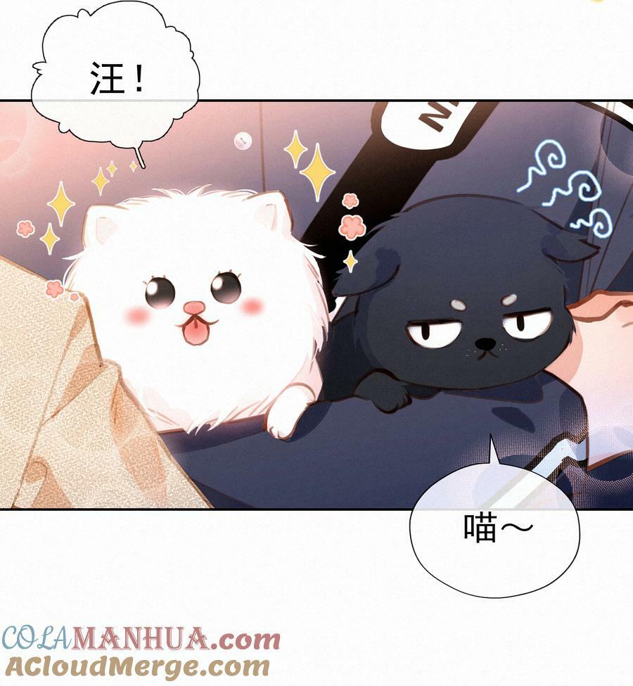 065 结婚真的很可怕45