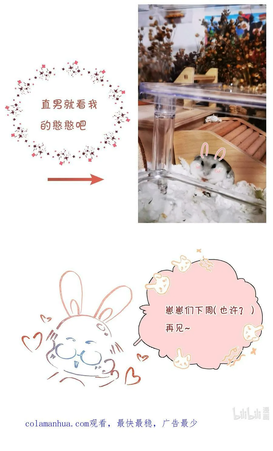 056 教练，我想打篮球53