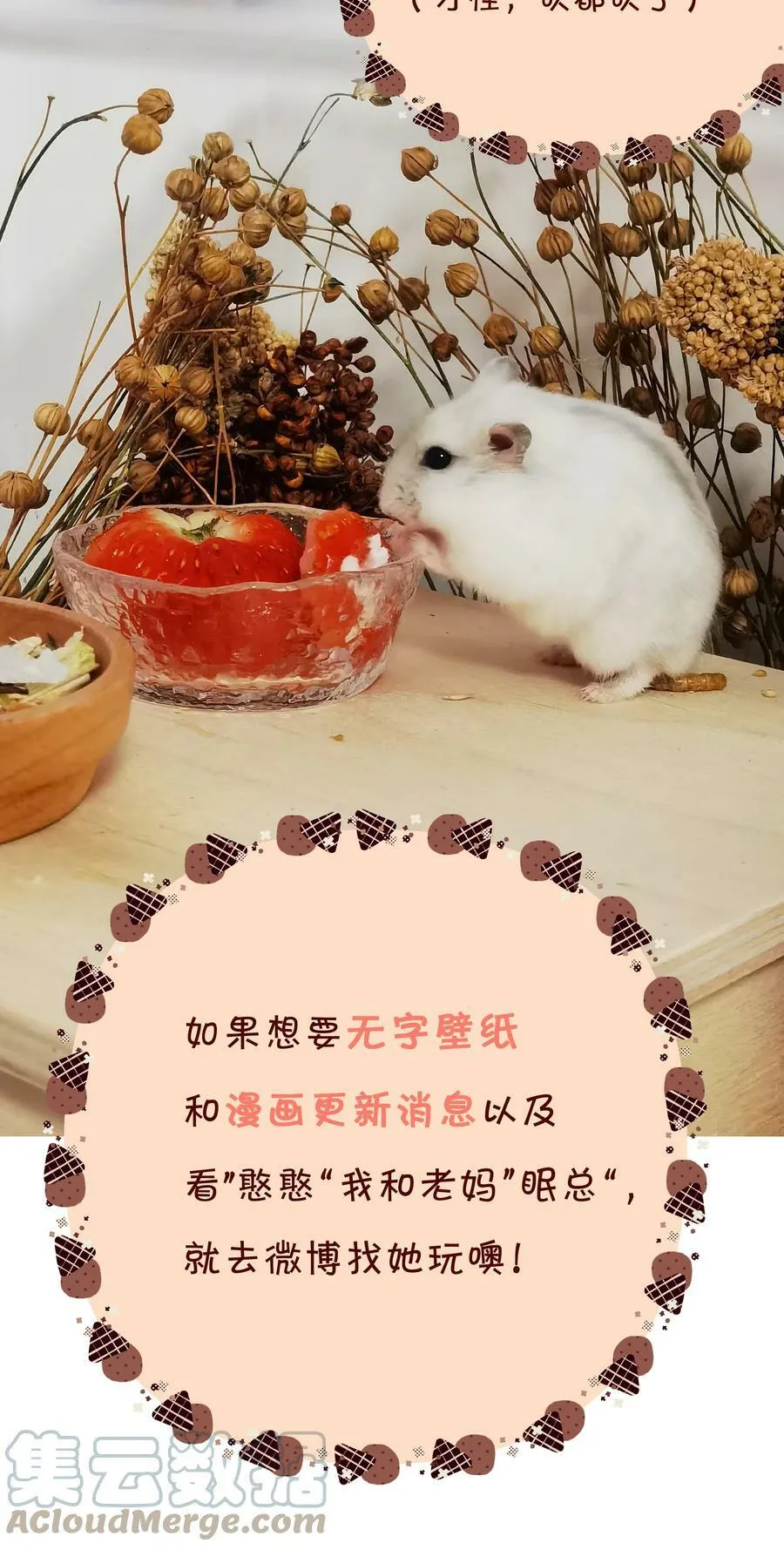 055 三人一条心60
