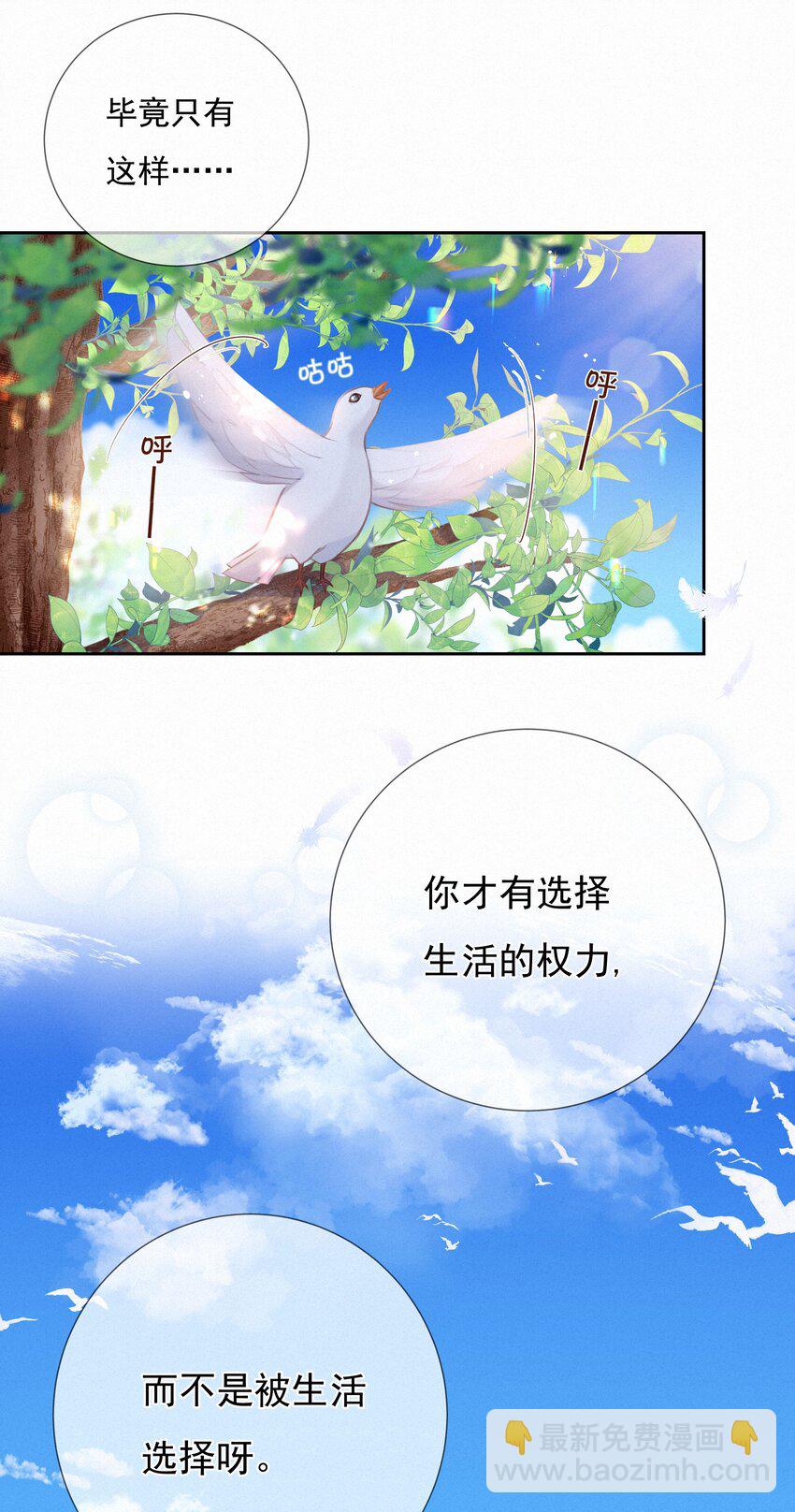 003 人生的选择权31