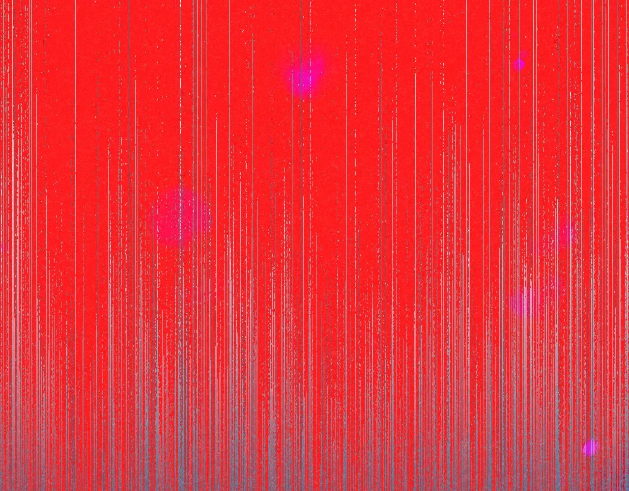 47-乌鸦之死88