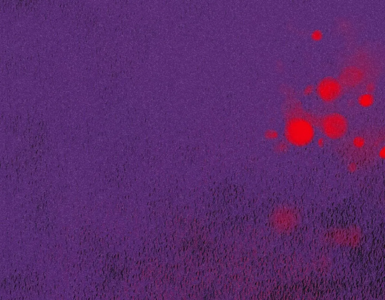 48-遗子反哺19