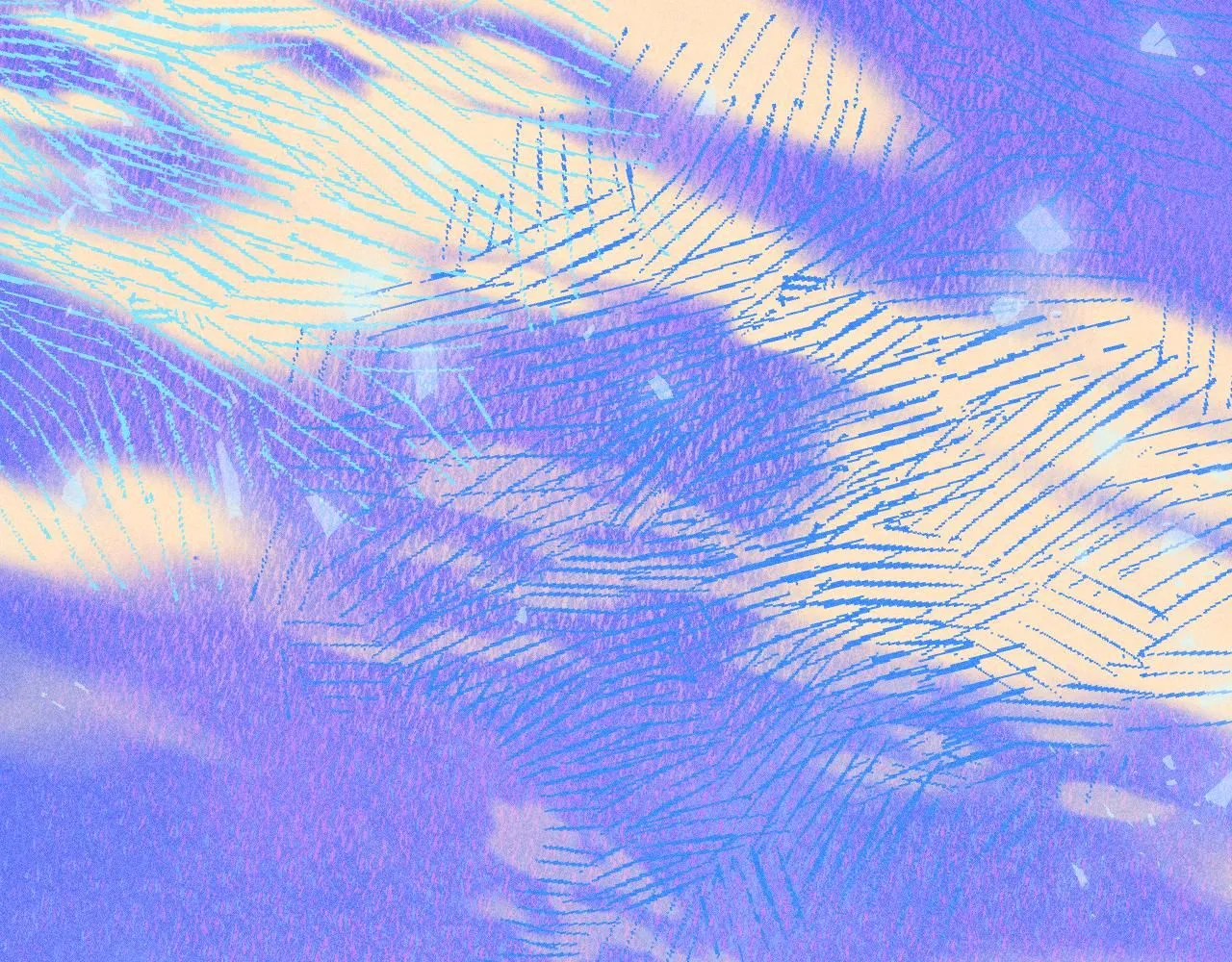 51124