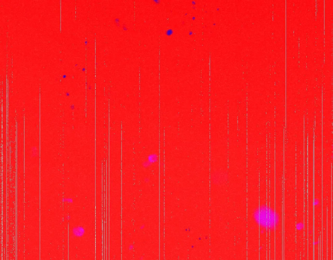 47-乌鸦之死87