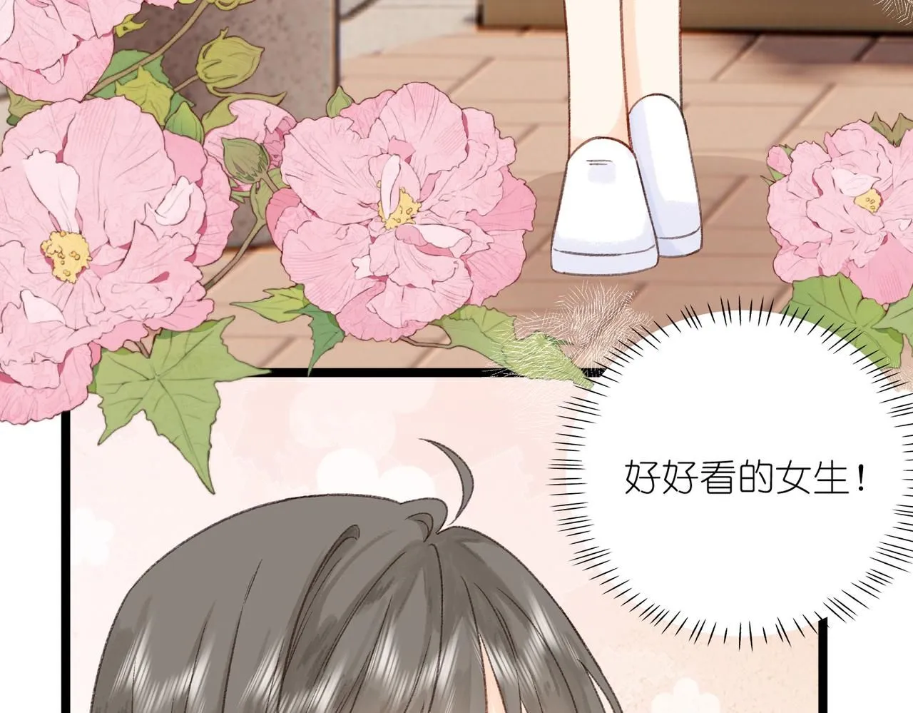 第16话 白卉？11