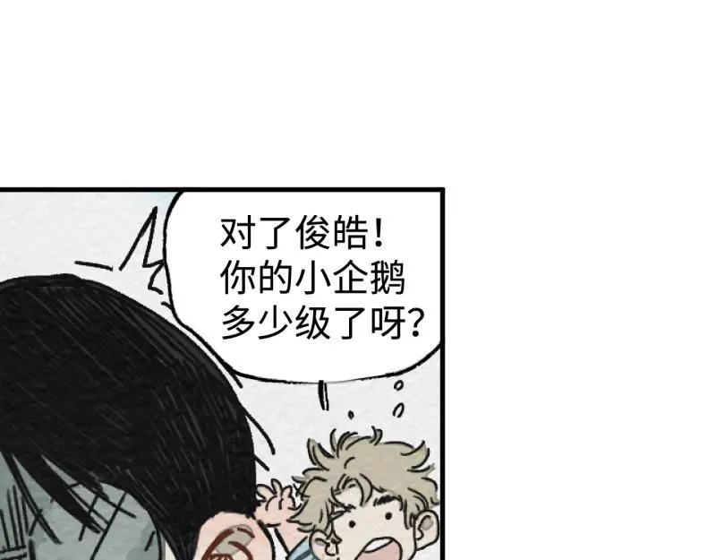 第19话 扣扣宠物114