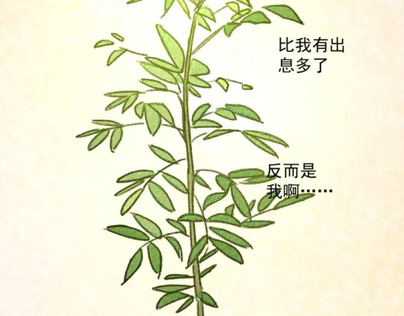 除夕101