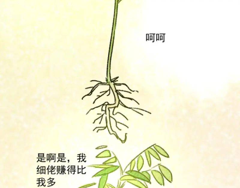 除夕100
