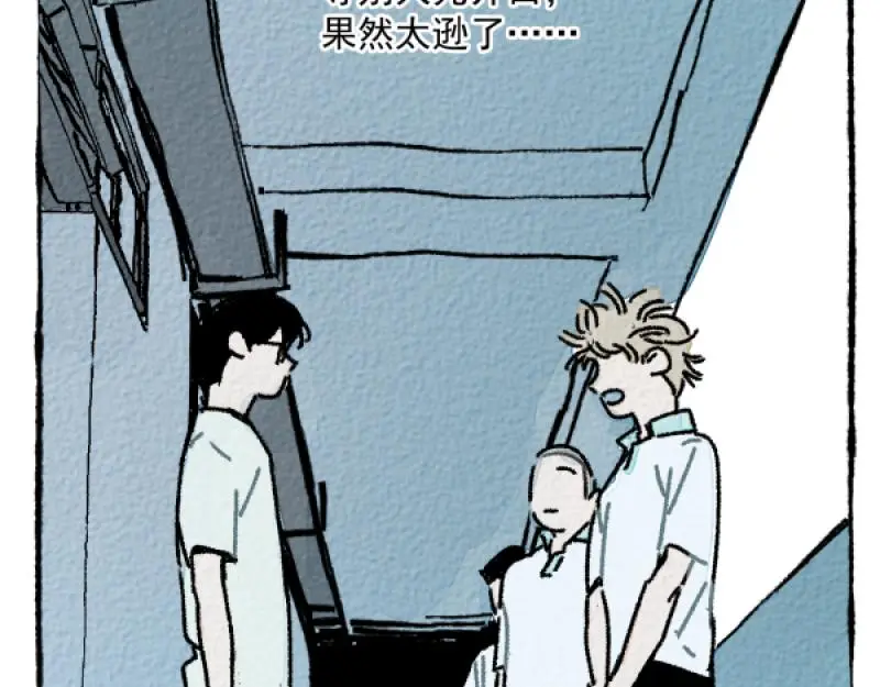 “仓鼠”（下）44