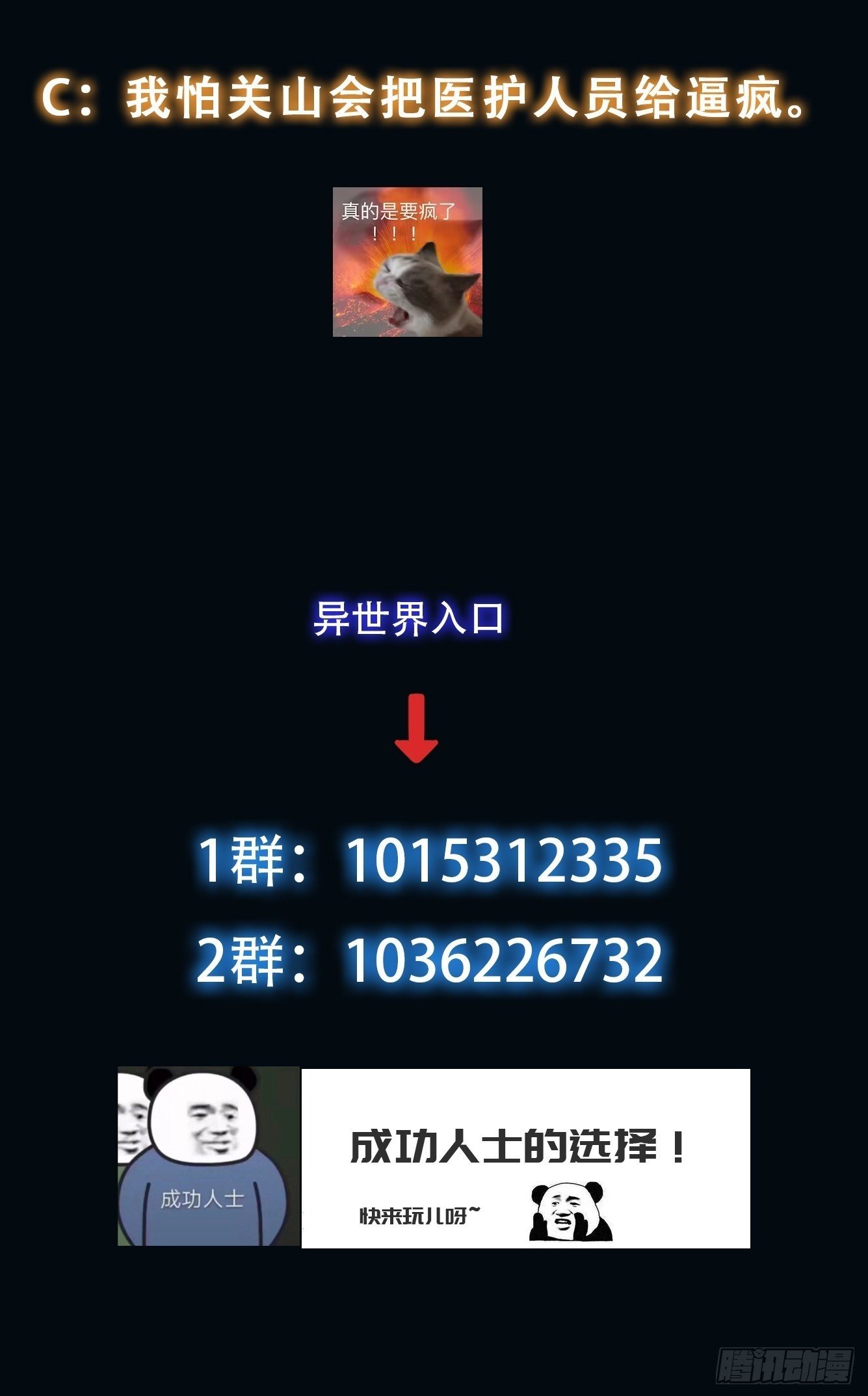 048 特殊的伪装方式33