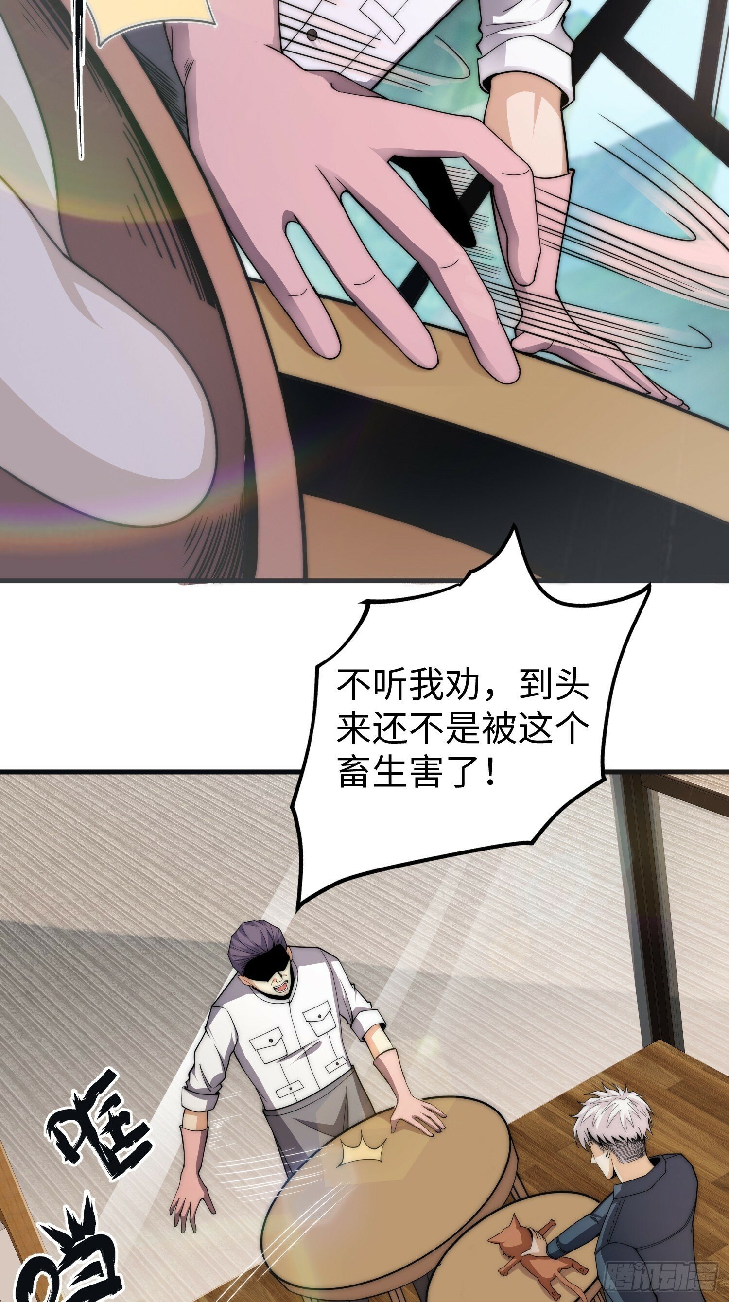 042 审判猫咪21