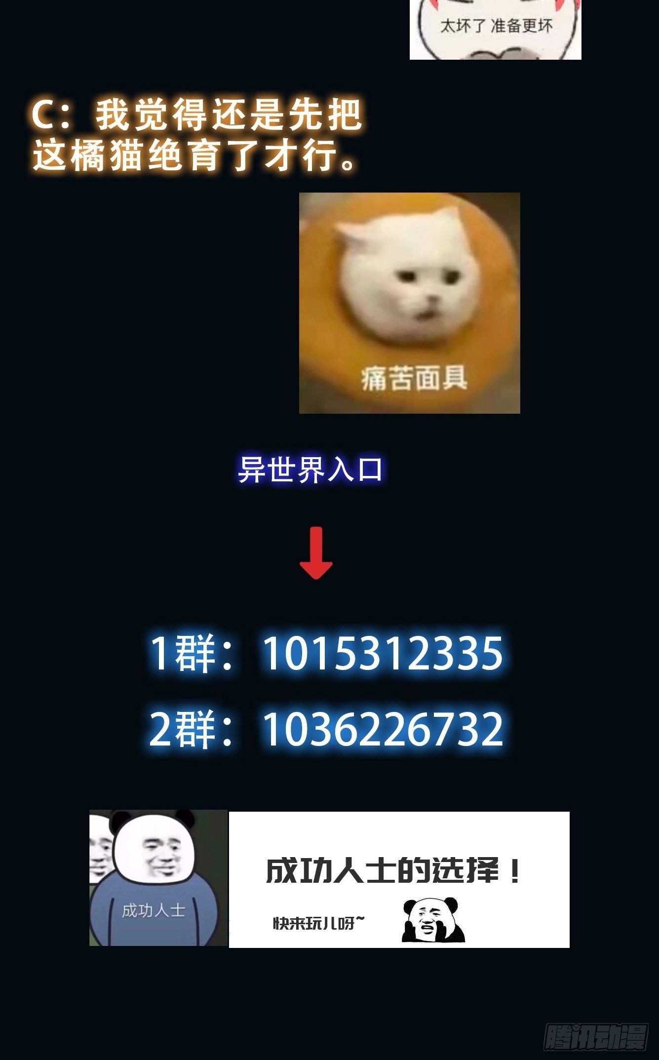 042 审判猫咪43