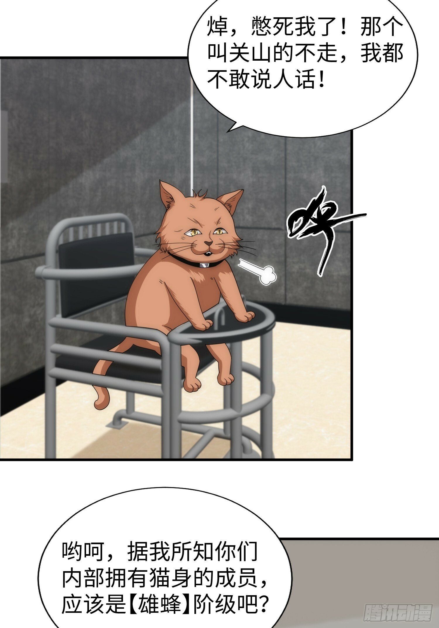 042 审判猫咪35