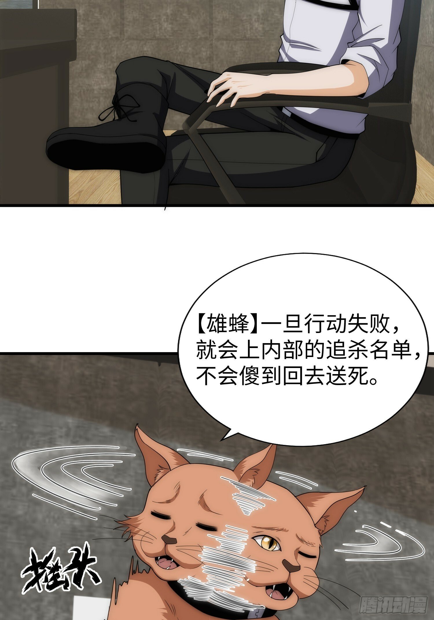 042 审判猫咪38
