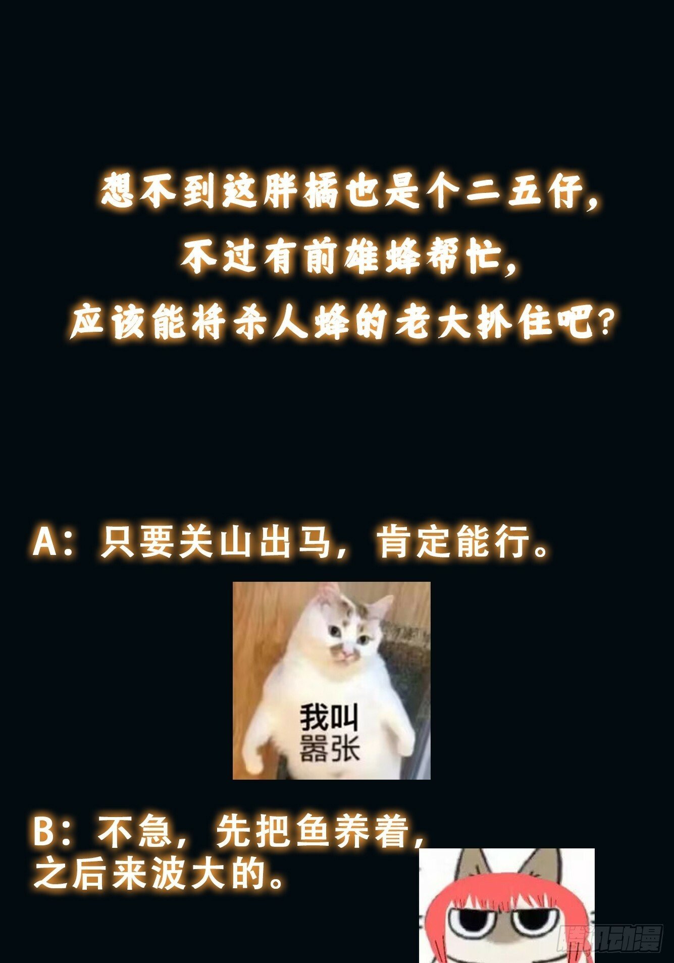 042 审判猫咪42