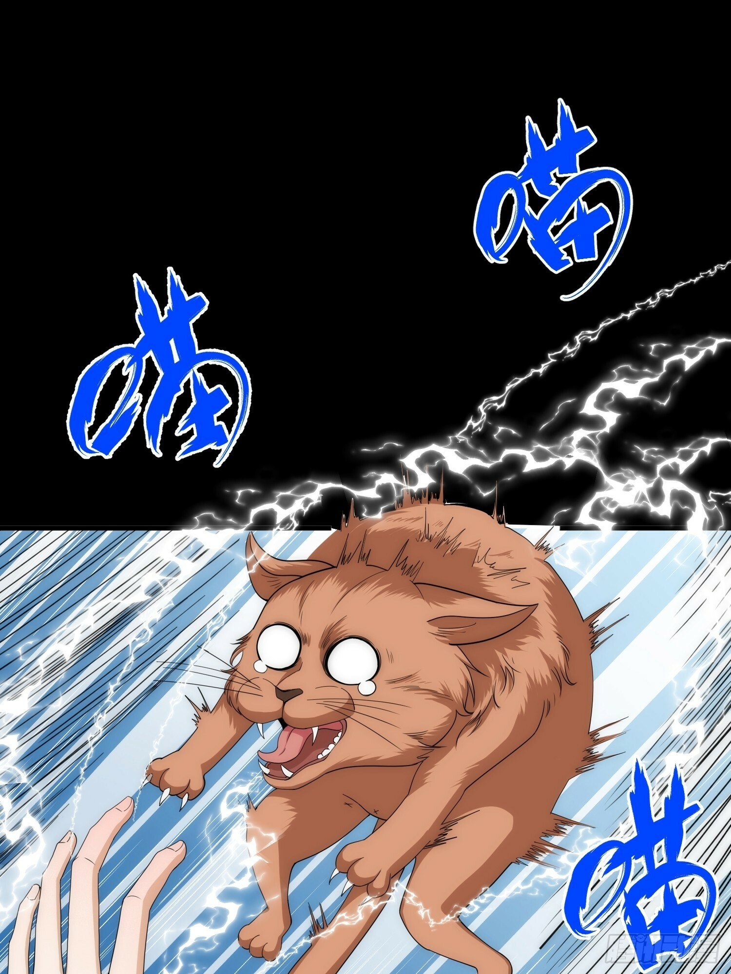 042 审判猫咪2