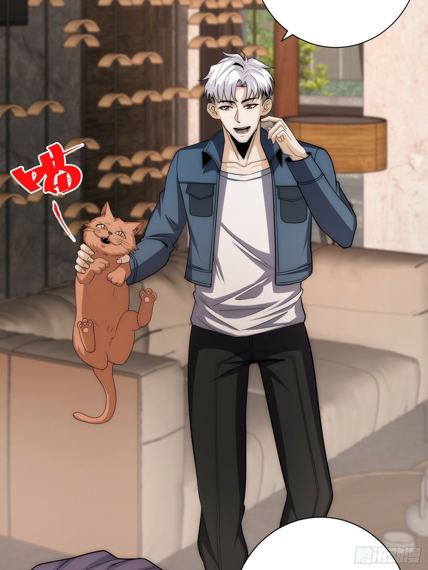 042 审判猫咪12