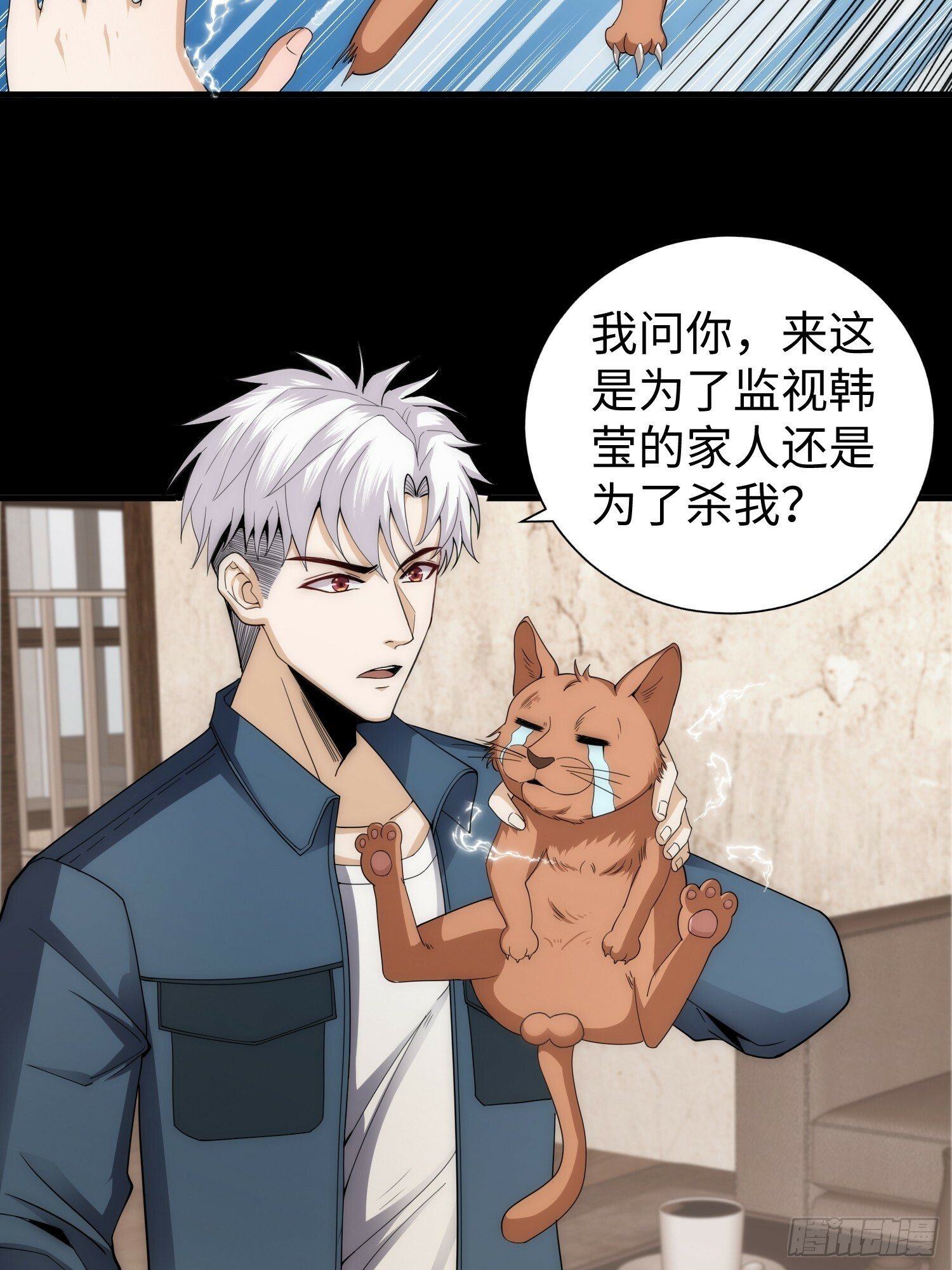 042 审判猫咪3