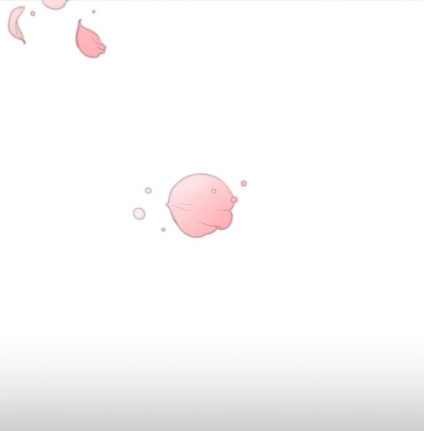！ 预告11