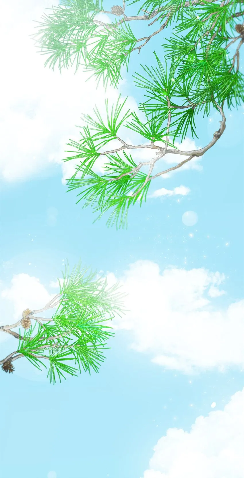54 取舍50
