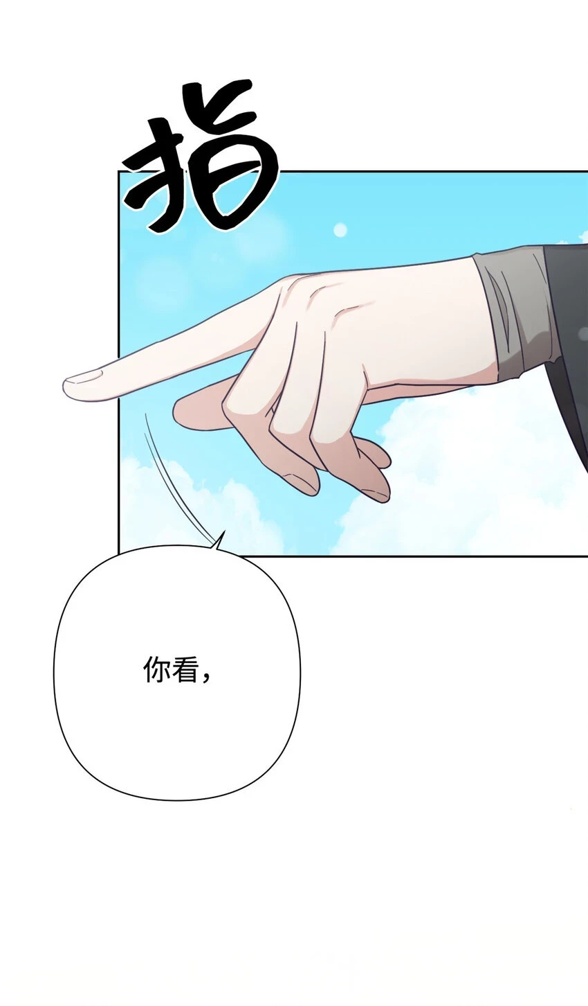 31 去玩52