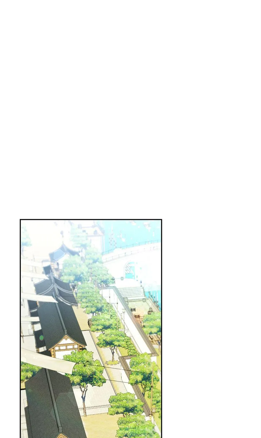 65 聪明37