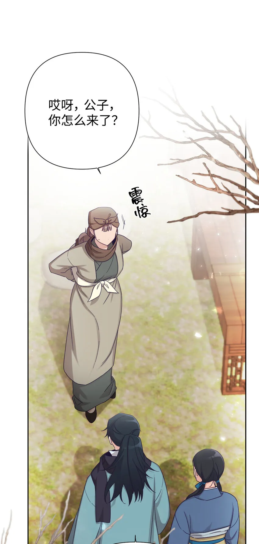 50 神仙50
