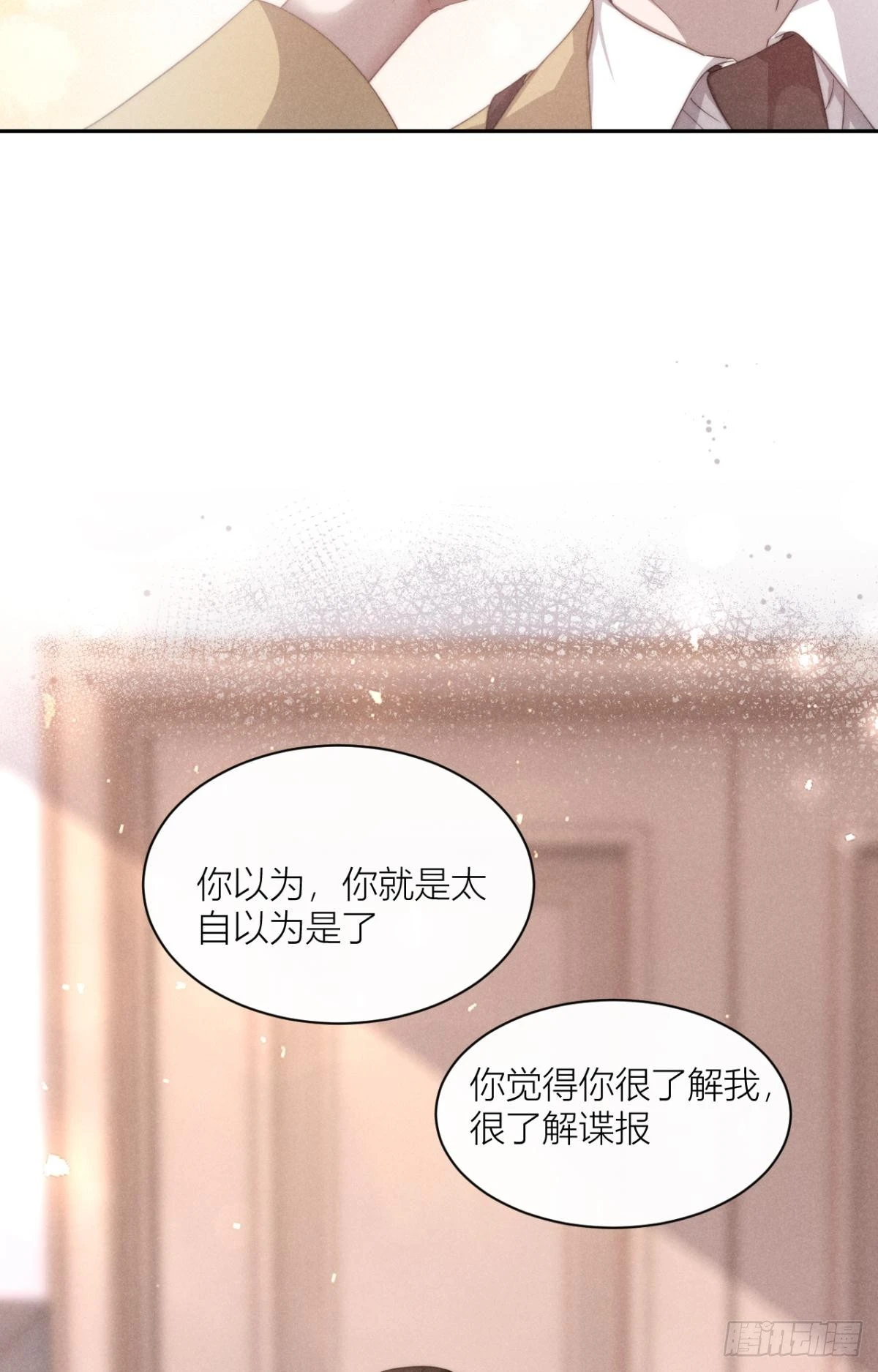 谍报员的信仰19