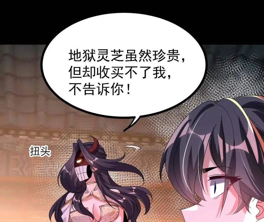 55 炼丹奇才52
