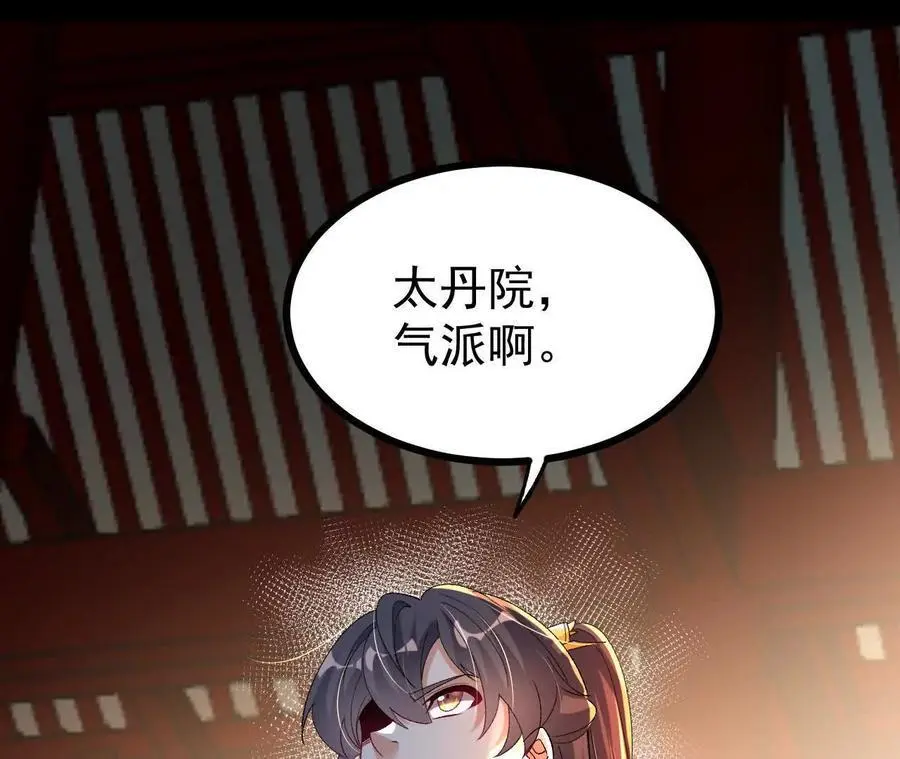 054 真气丹68