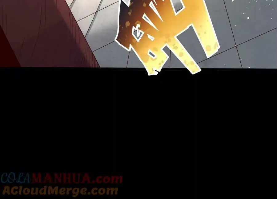 008 王城药家88