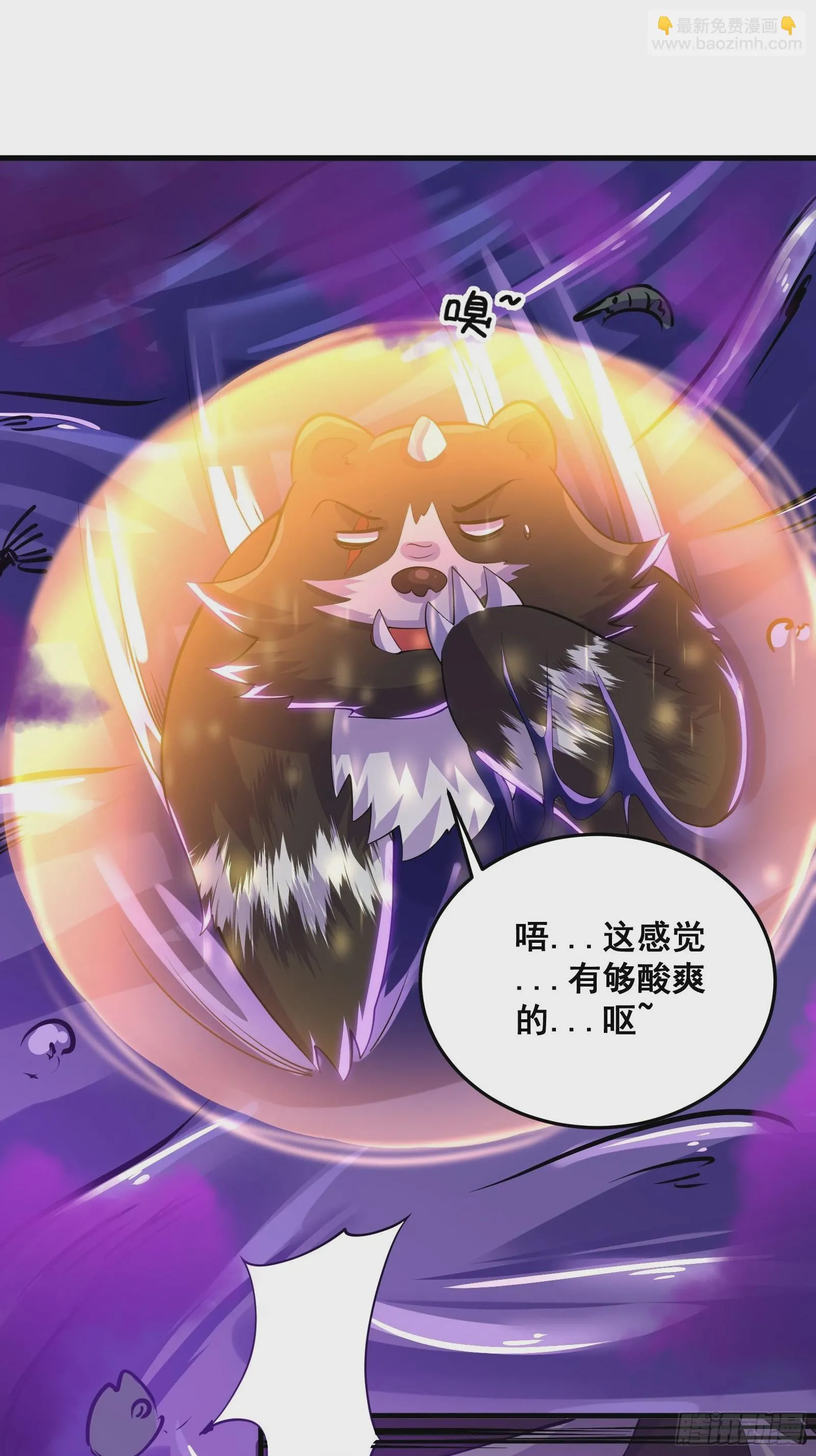 010 这熊是有故事的38