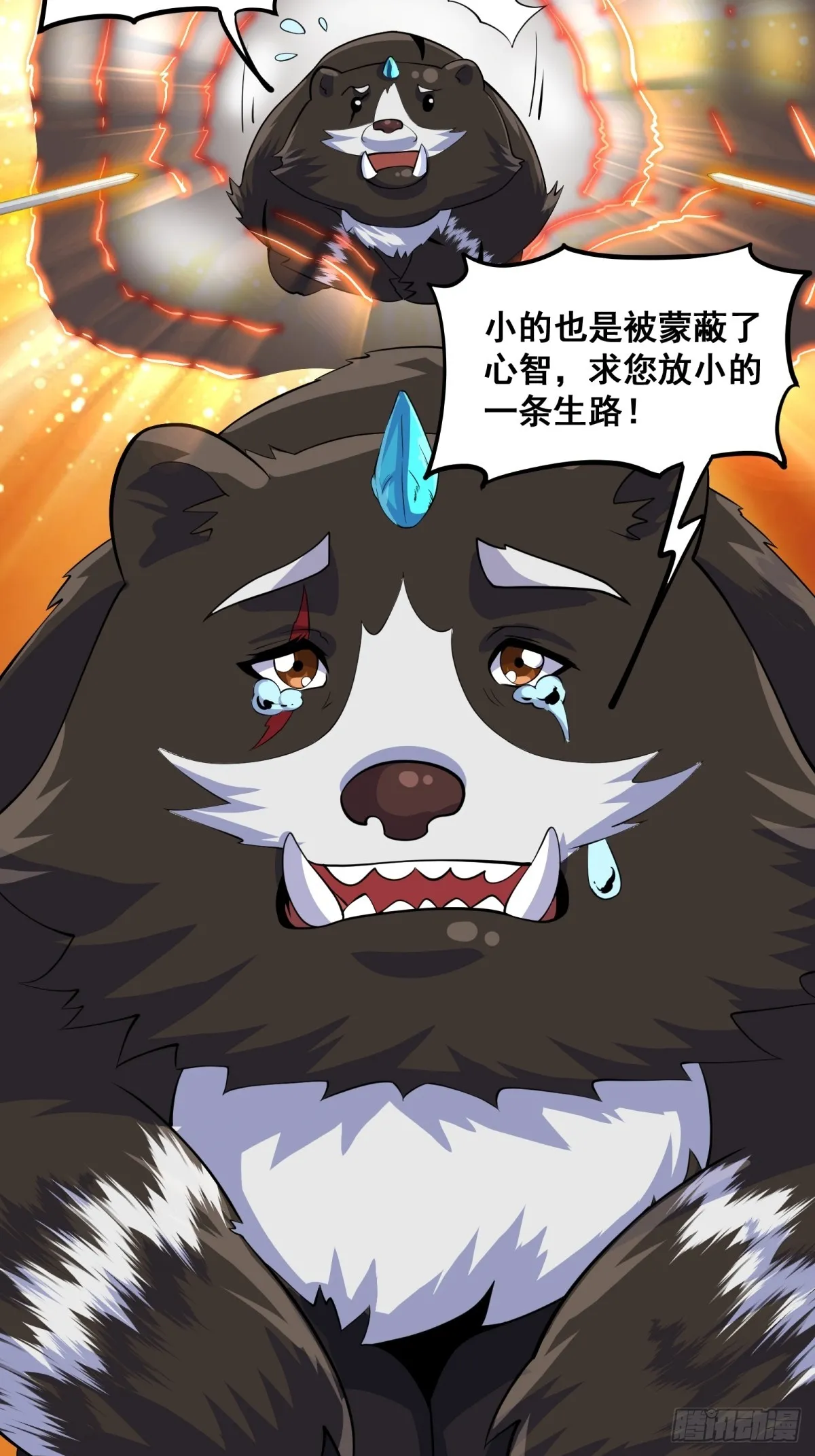 010 这熊是有故事的4