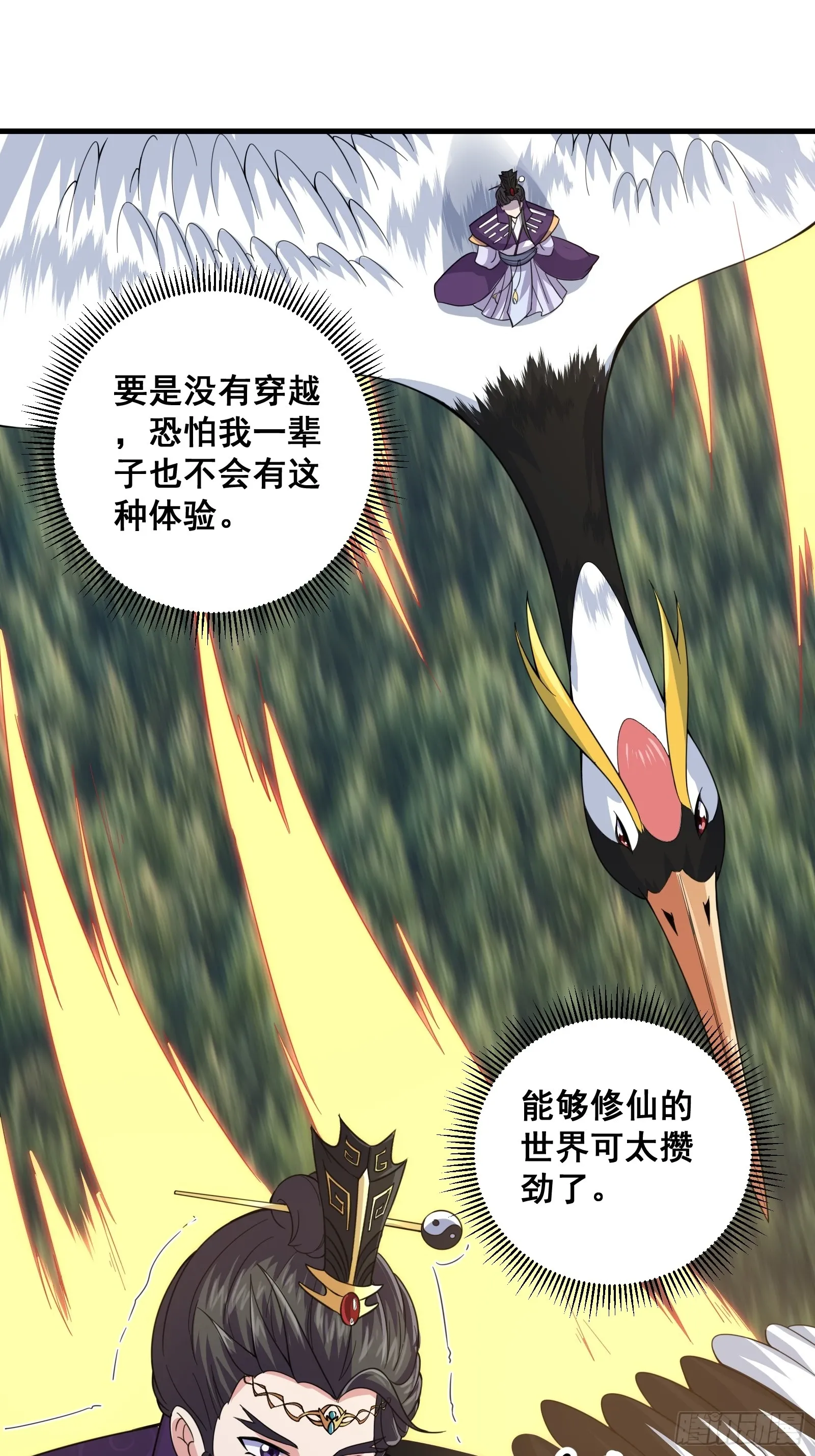 005 好大的鸟啊！33