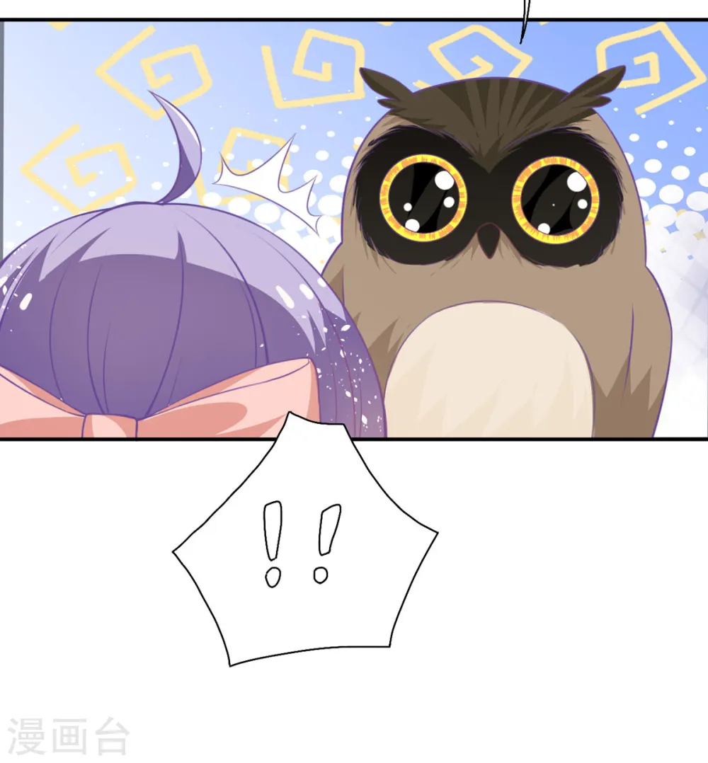 第18话 树洞猫头鹰9