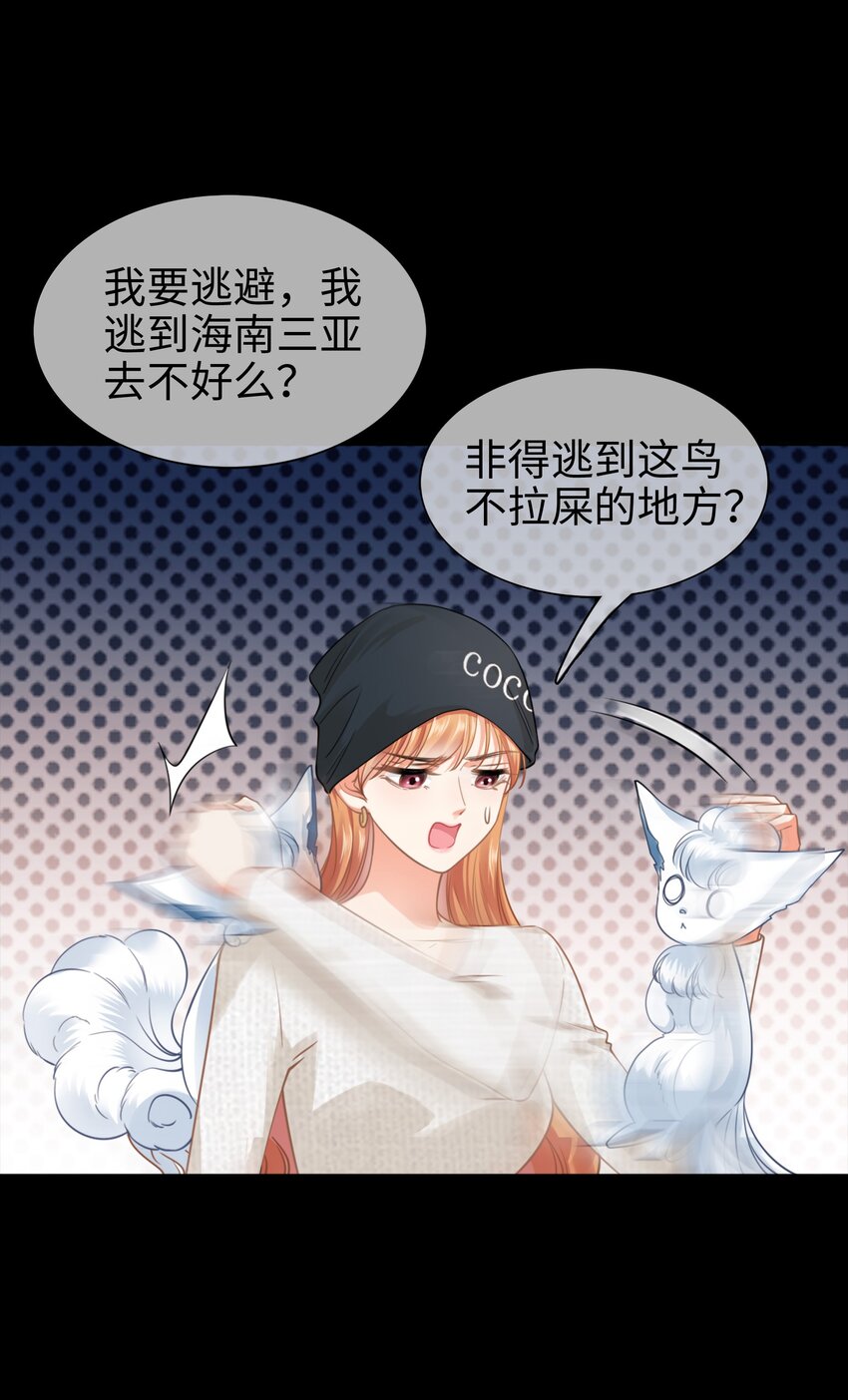 004餐 战斗鸡!50