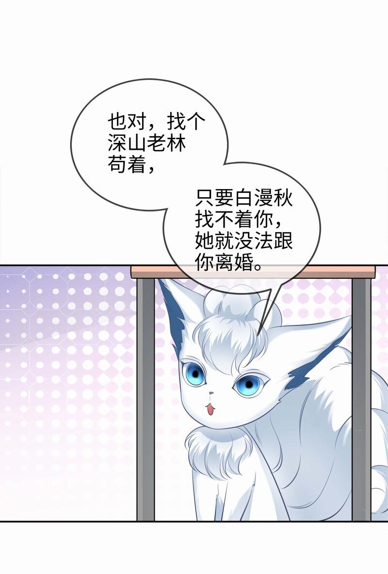 003餐 计划失败？33