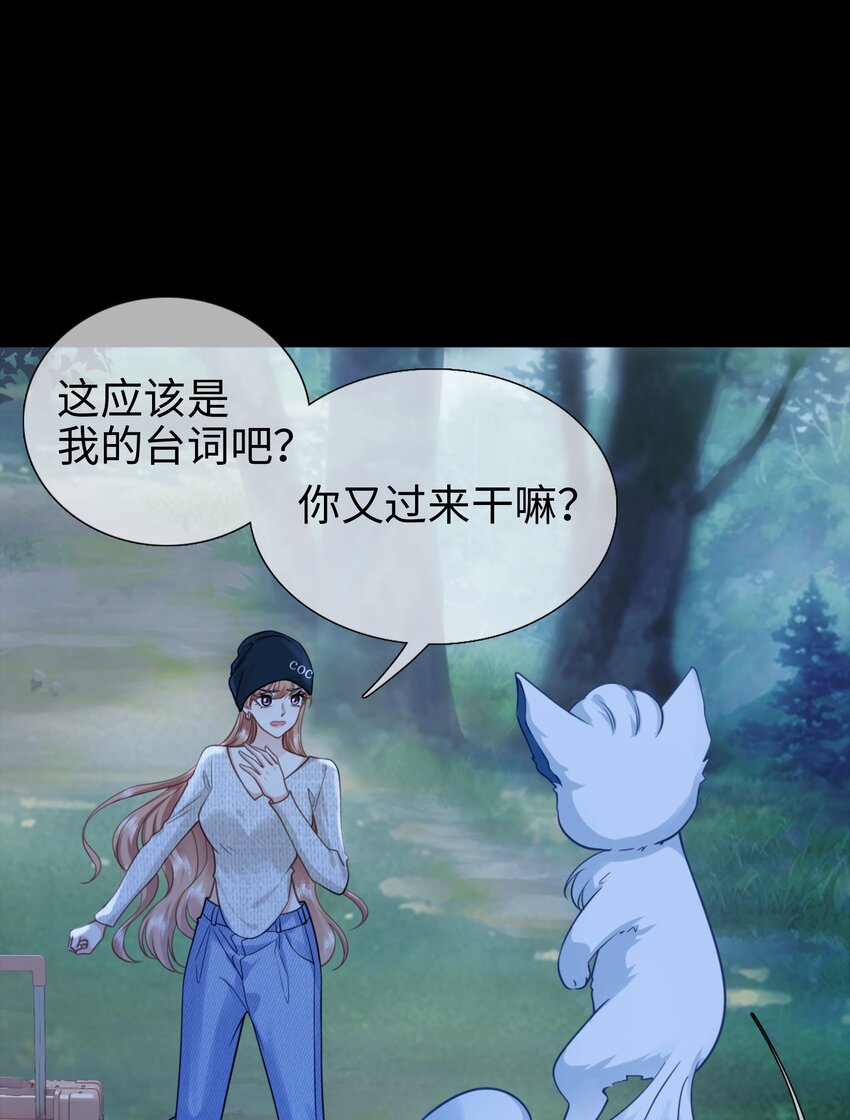 004餐 战斗鸡!45