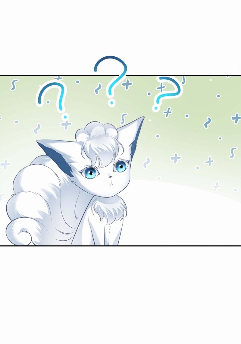 003餐 计划失败？31