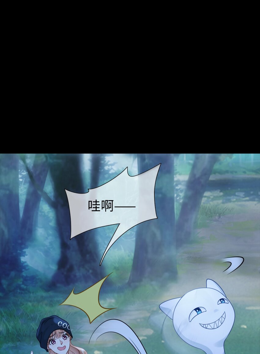 004餐 战斗鸡!42