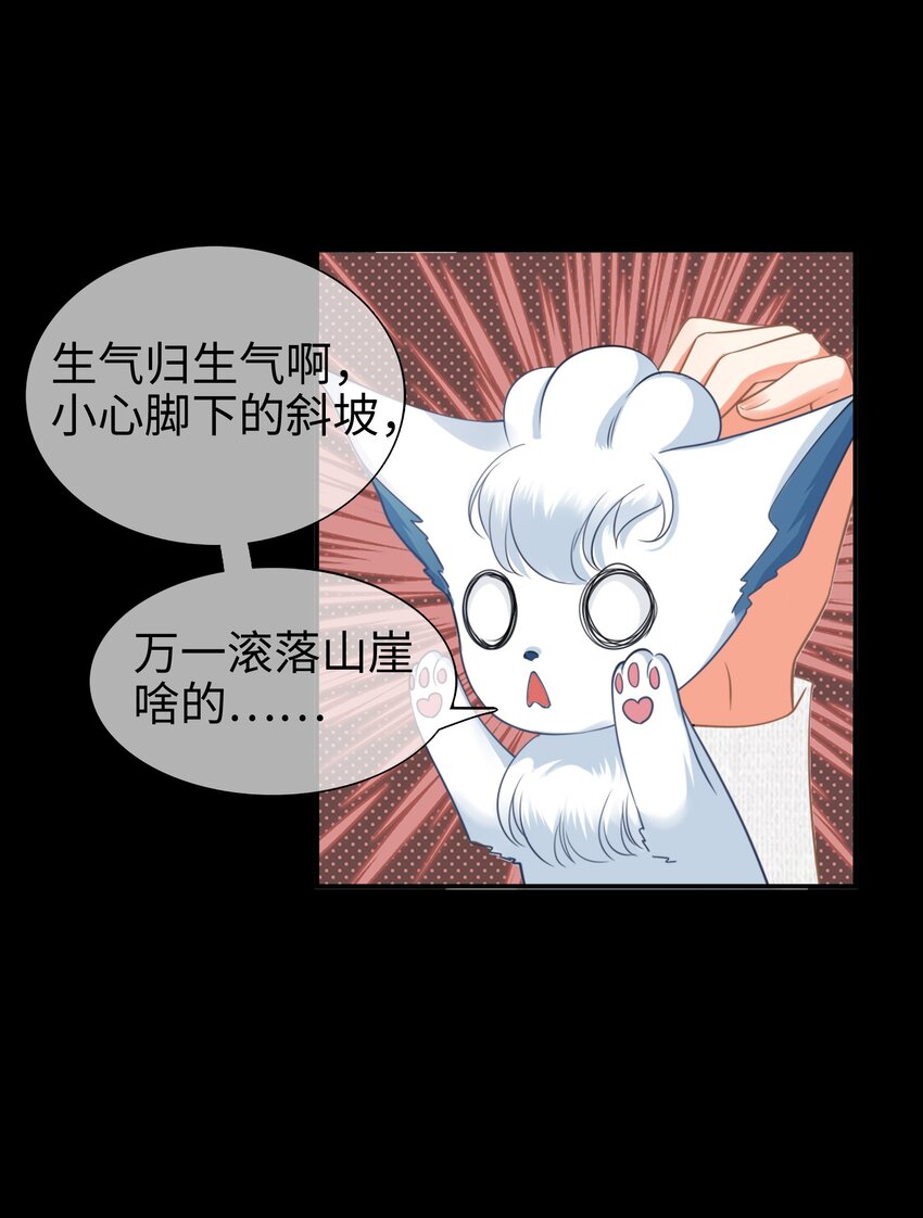 004餐 战斗鸡!51