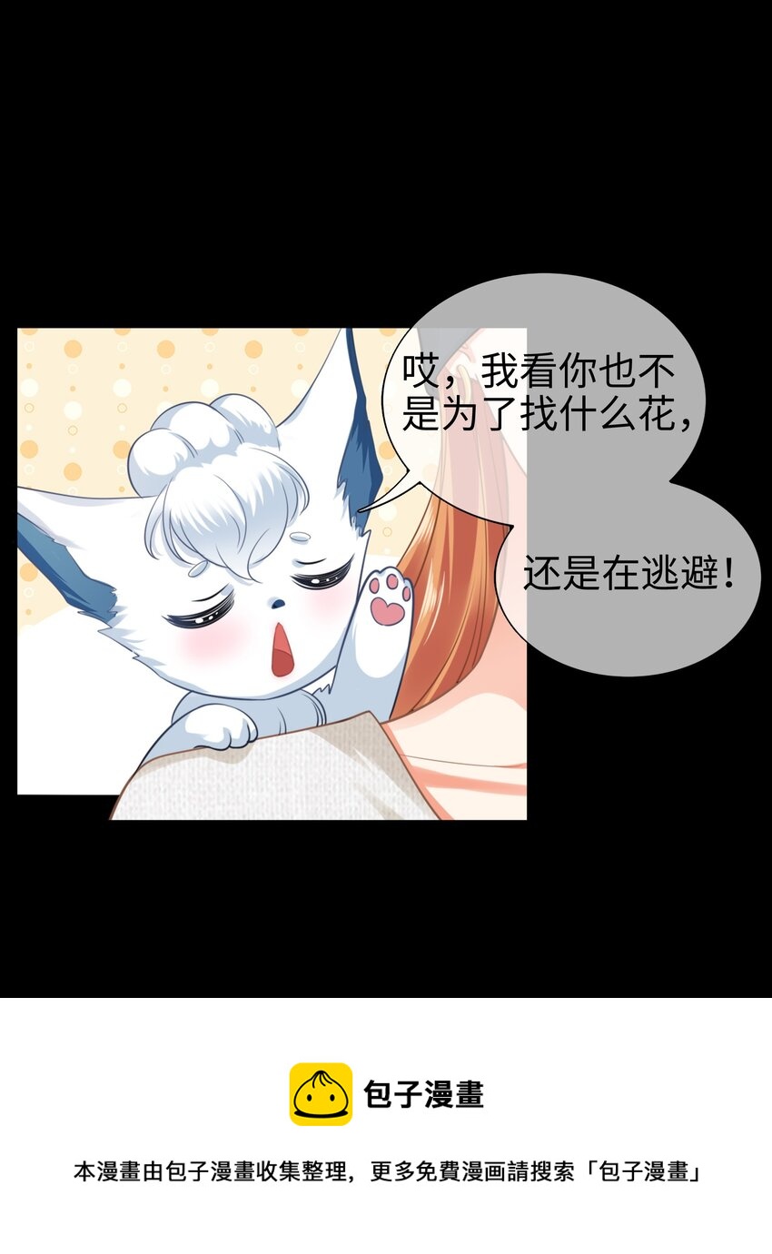 004餐 战斗鸡!49