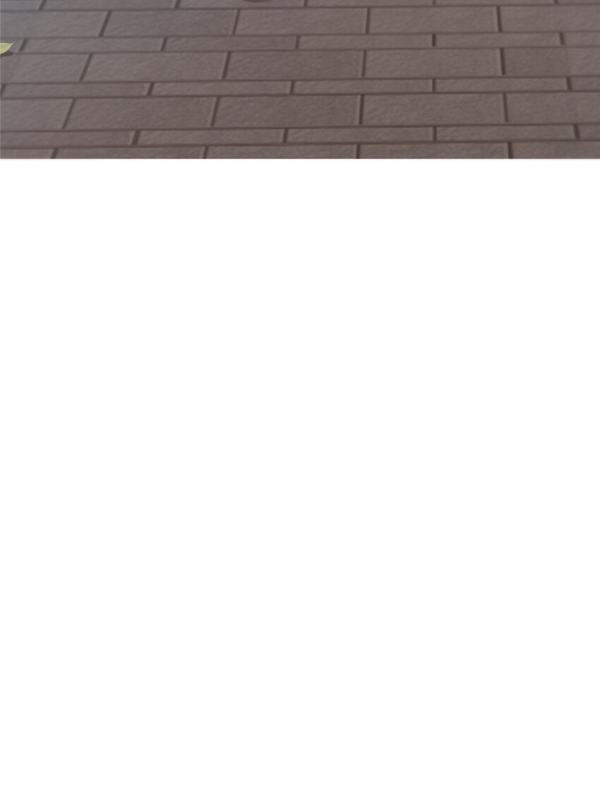 11 1154