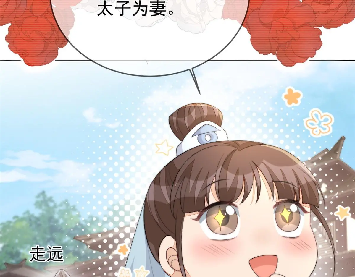 78 太子妃44