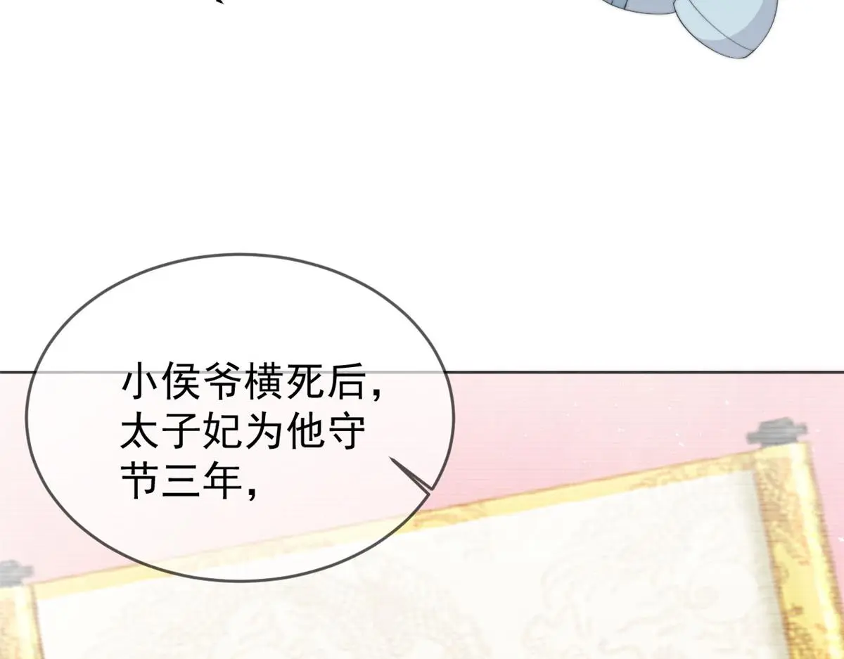 78 太子妃41