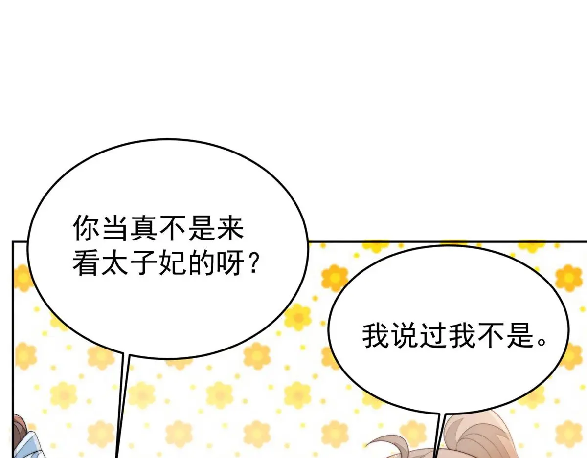 78 太子妃27