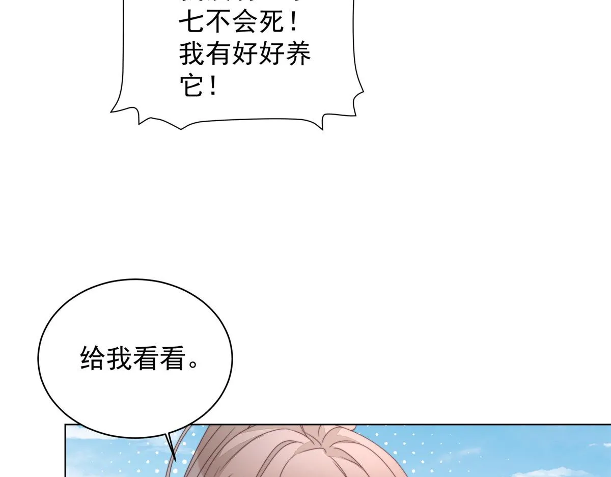 51 真相95
