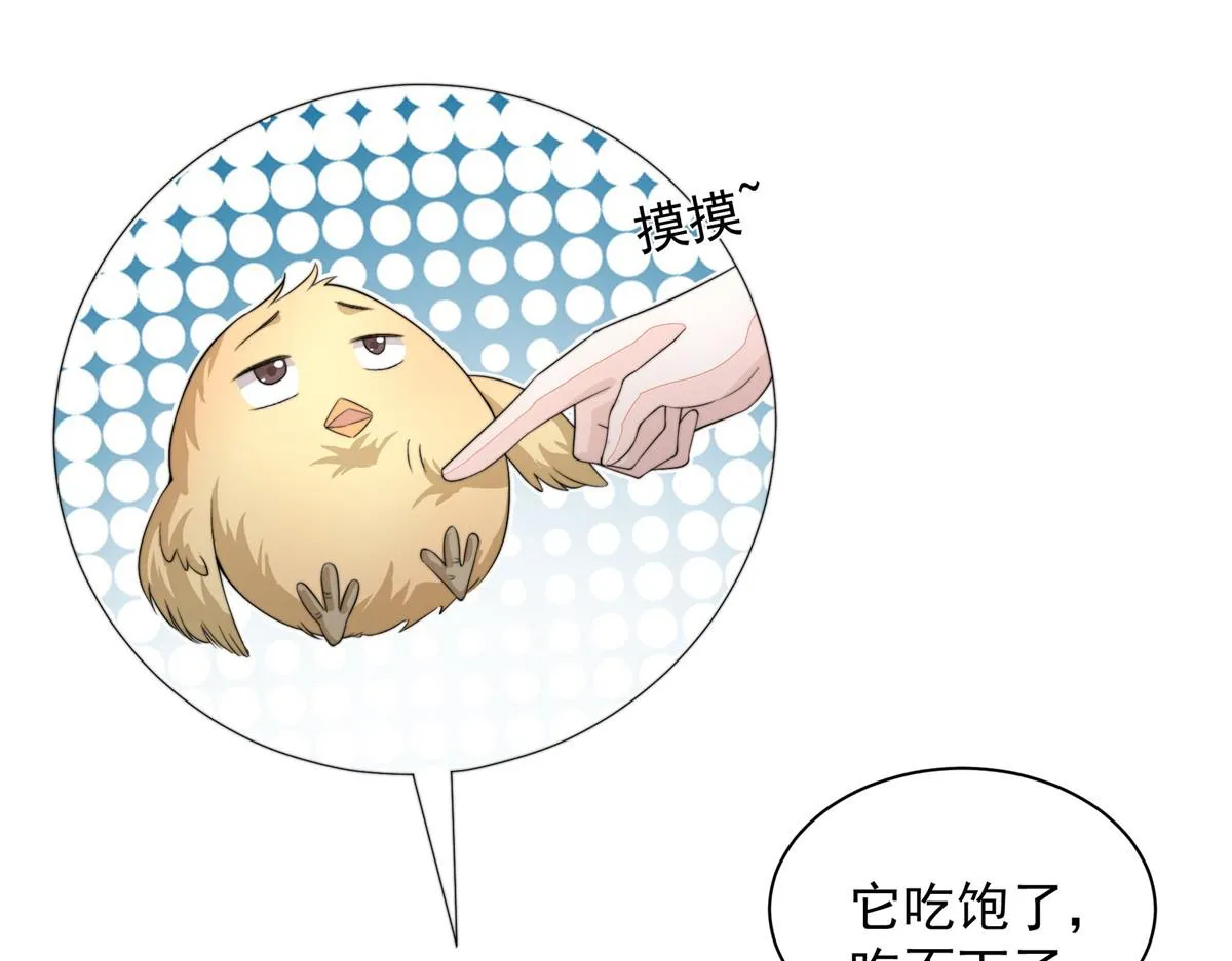51 真相97